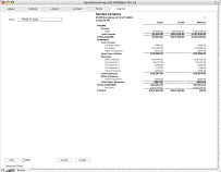 Income Statement