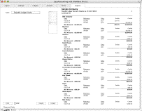 Payable Ledger Account Inquiry